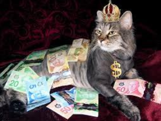 cashcat.png
