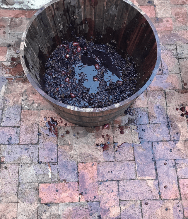 Screen Shot 2017-09-22 at 9.42.04 AM.png